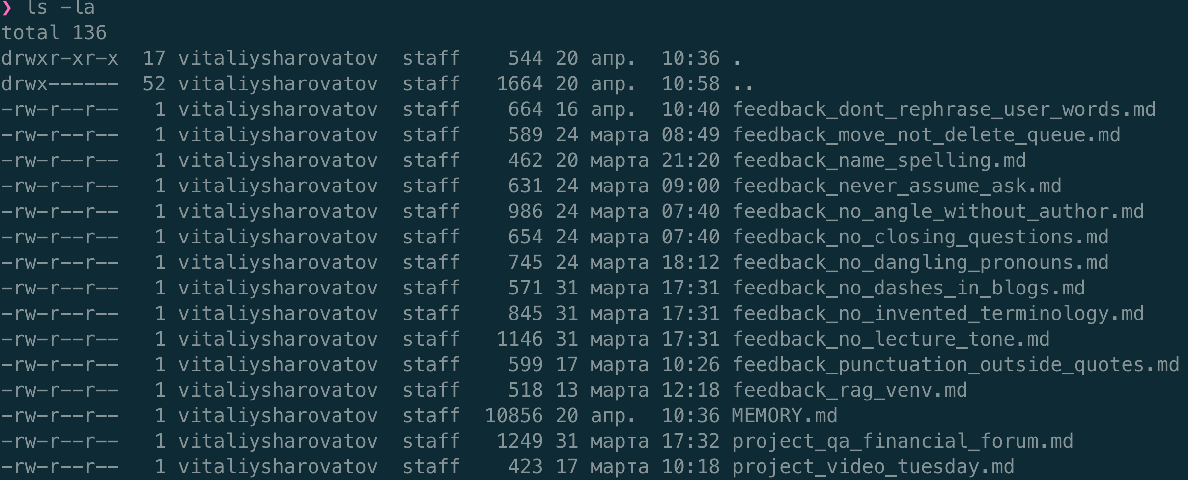 many auto-memory files